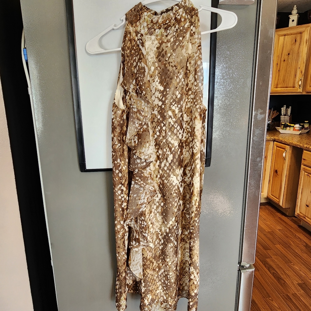Catos dress